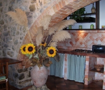 Angolo cottura Archi - Copia