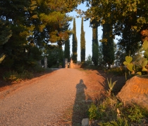 Agriturismo Aiola (1)