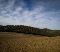 DSC_0252
