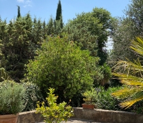 Piazzale ARCHI 4