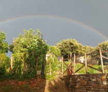 esterno giardino arcobaleno
