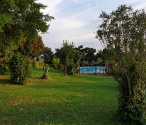 giardino3
