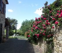 20160426_123938