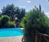 piscina1