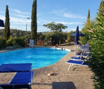 piscina15