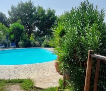 piscina7